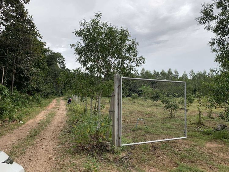 ขายที่ดินเพชรบุรี ตำบลเขากระปุก