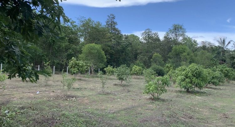 ขายที่ดินเพชรบุรี ตำบลเขากระปุก รูปที่ 3