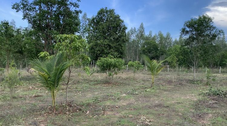 ขายที่ดินเพชรบุรี ตำบลเขากระปุก รูปที่ 4