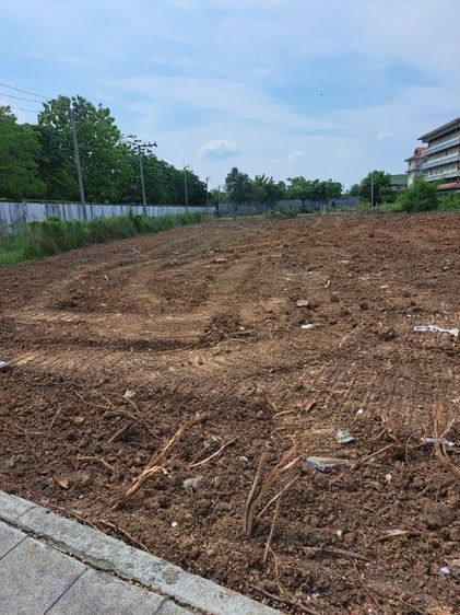 แบ่งเช่าที่ติดถนน