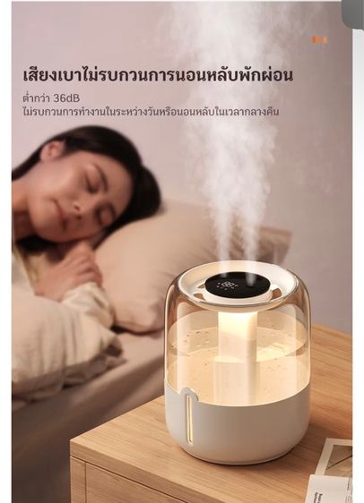 เครื่องพ่นไอน้ำ รูปที่ 10