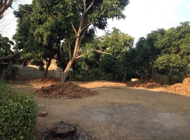 ที่ดินเปล่า แม่แตง รูปที่ 4