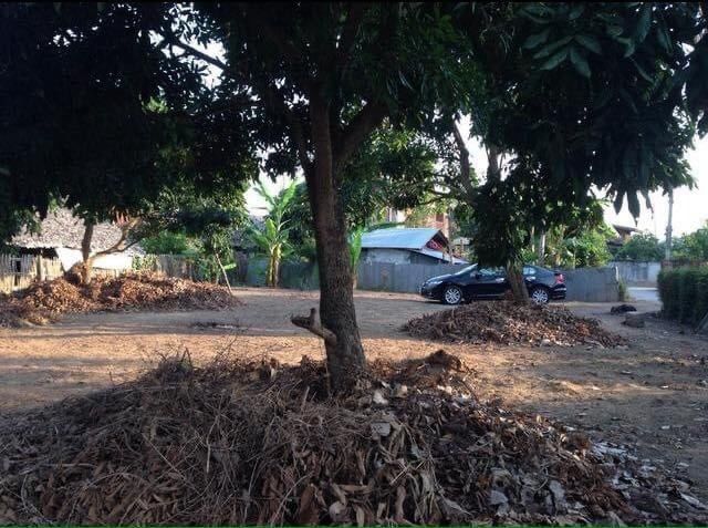 ที่ดินเปล่า แม่แตง รูปที่ 3