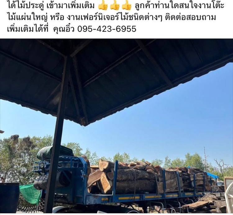 ผลิต ม้านั่งสนาม จากไม้จริง ไม้ใหญ่ ราคากันเอง รูปที่ 4