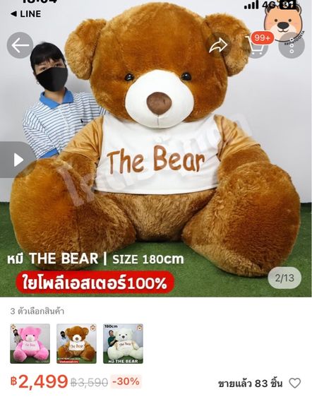 ตุ๊กตาหมียักษ์ THE BEAR รูปที่ 7