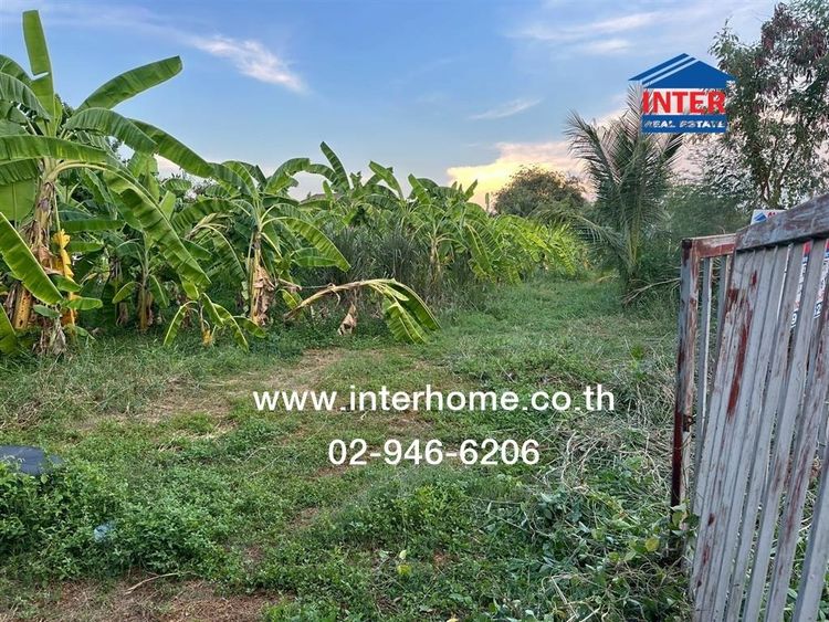 ไม่ใช่ ที่ดินเปล่า 375 ตร.ว. ที่ดิน ซอยต้นสน6 ใกล้บิ๊กซีเอ็กซ์ต้า แจ้งวัฒนะ-ปากเกร็ด ถนนแจ้งวัฒนะ-ปากเกร็ด20 ปากเกร็ด นนทบุรี รูปที่ 2