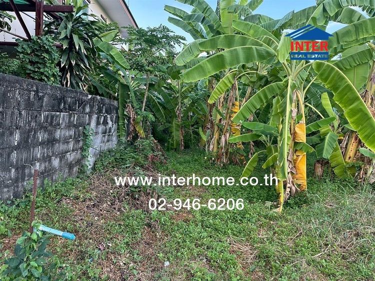 ไม่ใช่ ที่ดินเปล่า 375 ตร.ว. ที่ดิน ซอยต้นสน6 ใกล้บิ๊กซีเอ็กซ์ต้า แจ้งวัฒนะ-ปากเกร็ด ถนนแจ้งวัฒนะ-ปากเกร็ด20 ปากเกร็ด นนทบุรี รูปที่ 3