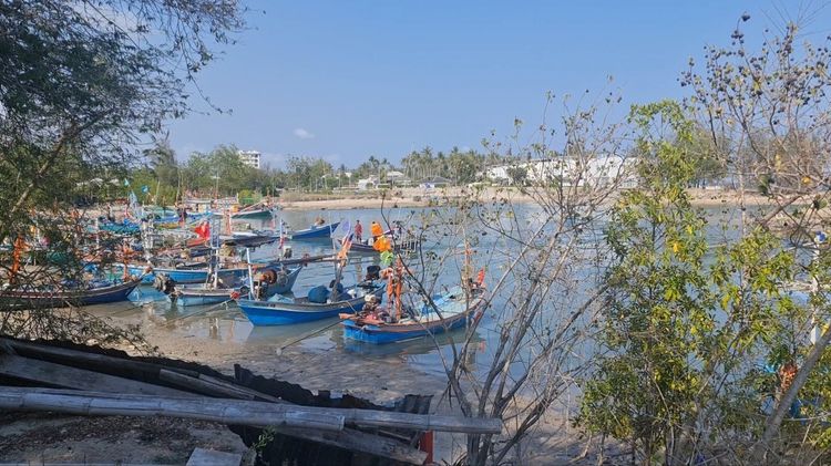 ขายที่ดิน ทำเลสวย ติดท่าจอดเรือ ประมงชาวบ้าน ปากอ่าวทะเล ห่างชายหาดทะเล 50 เมตร วิวสวย ติดคลองน้ำเค็ม ออกเรือถึงทะเล แค่ 3 นาที รูปที่ 2