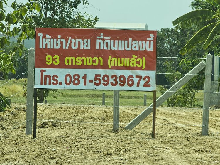 ขายที่ดินครับ ถมที่ดินแล้ว ดินแน่นๆสูงๆ ทำเลดี เจ้าของขายเอง ใกล้ปั้ม ปตท. อ.กระสัง จ.บุรีรัมย์  รูปที่ 4
