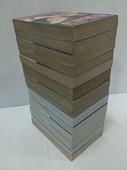 หนังสือการ์ตูน ยิงสวนตะวัน รูปที่ 6