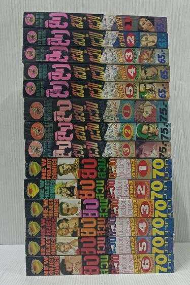 หนังสือการ์ตูน ยิงสวนตะวัน รูปที่ 2