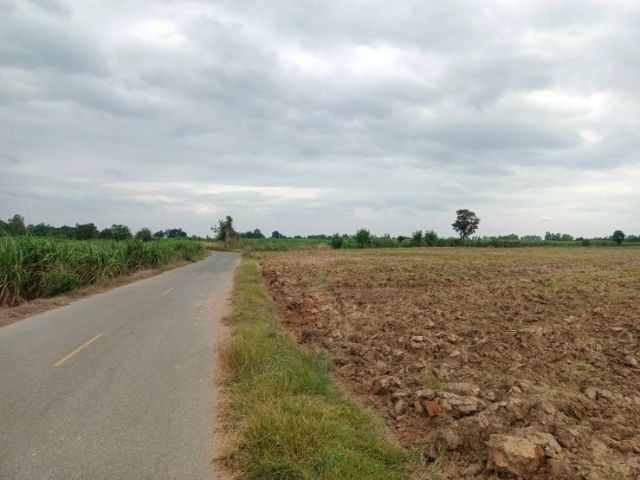 ที่ดินเปล่าจรเข้เผือก รูปที่ 2