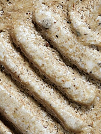 เนื้อตุ๊บตั๊บ (Number One) ให้เช่าบูชาสมบัติบ้าน พระเบญจภาคี สมเด็จวัดระฆัง พิมพ์เจดีย์ มีมวลสาร สวยมาก รูปที่ 11