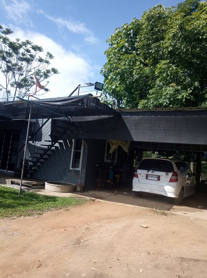 เลี้ยงสัตว์ได้ มีบางส่วน 2028 บ้านเดี่ยวชั้นเดียว รูปที่ 3