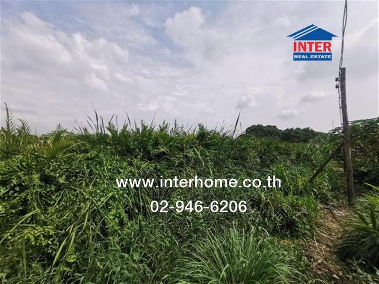 ไม่ใช่ ที่ดินเปล่า 400 ตร.ว. ที่ดินเปล่า ซอยมังกร-ขันดี (ซอยเทพารักษ์116) ถนนเทพารักษ์ ถนนสุขุมวิท เมืองสมุทรปราการ สมุทรปราการ รูปที่ 4