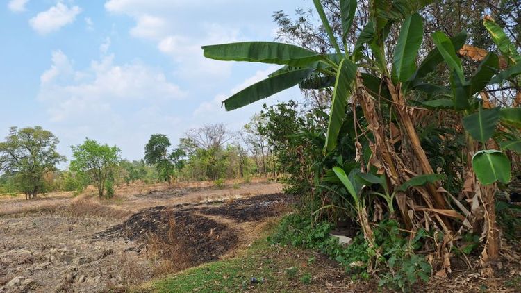 ขายที่ดิน19ไร่89ตารางวาเจ้าของขายเอง