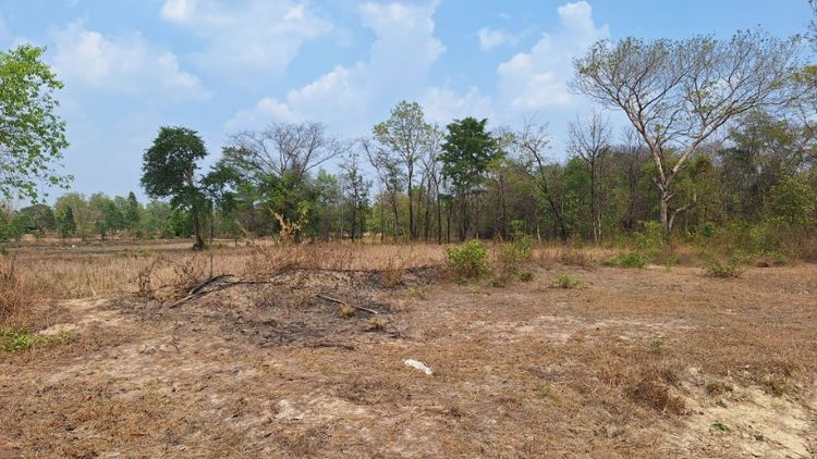 ขายที่ดิน19ไร่89ตารางวาเจ้าของขายเอง รูปที่ 2