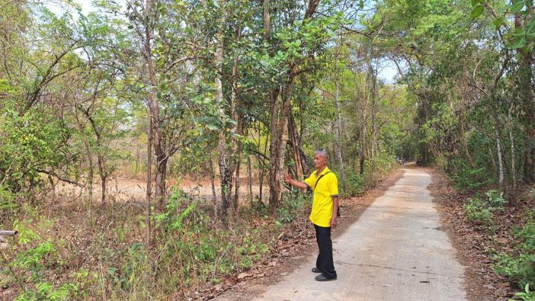 ขายที่ดิน19ไร่89ตารางวาเจ้าของขายเอง รูปที่ 3