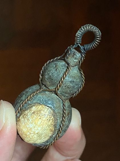 น้ำเต้ากันไฟ วัดพลับ รูปที่ 7