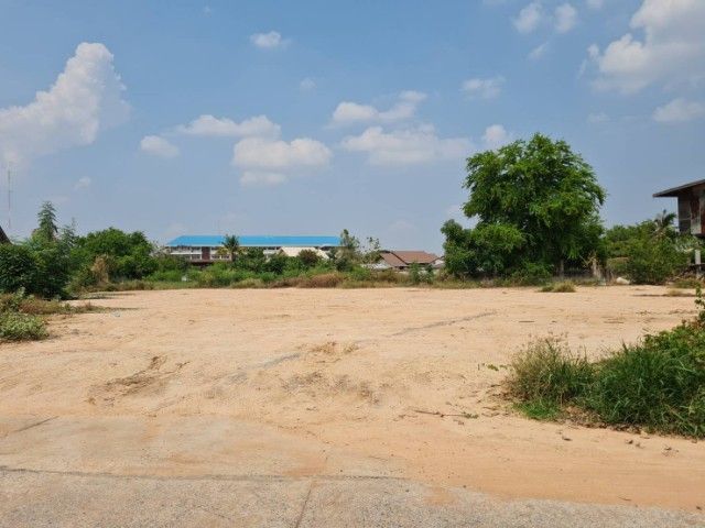 ไม่ใช่ ขายด่วน.. ที่กลางใจเมืองราคาถูกมาก ใกล้ที่ว่าการอำเภอ สนง.ที่ดิน โรงเรียน เทศบาล ธนาคาร โรงพยาบาล ใกล้ตลาด ออกกำลังกายริมบึง ปลอดภัย รูปที่ 2