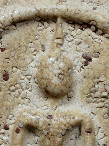 พระสมเด็จวัดระฆัง พิมพ์ใหญ่ มีมวลสาร สวยมาก รูปที่ 6