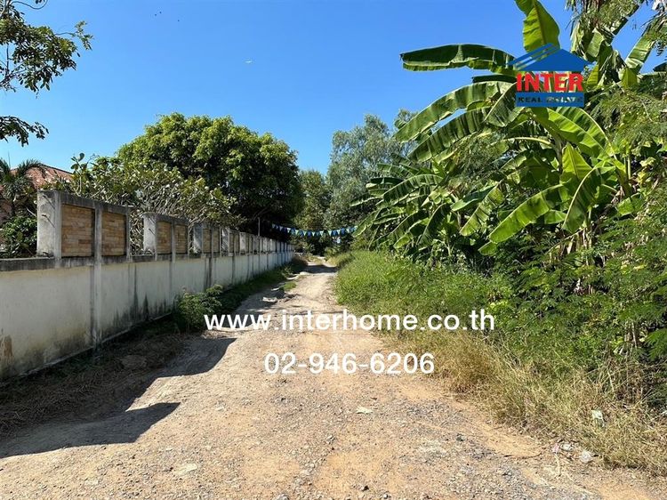 ไม่ใช่ ที่ดินเปล่า 800 ตร.ว. ที่ดินเปล่า ซอยเจริญสุข ถนนคลองหลวง ถนนเลียบคลองห้า คลองหลวง ปทุมธานี รูปที่ 4