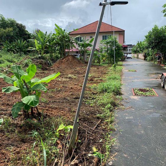 ขายที่ดินในเมืองตรัง เพลินพิทักษ์ ซอย 2 กลางซอย