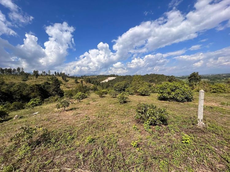 ที่ดินเชียงใหม่ พร้าว รูปที่ 2