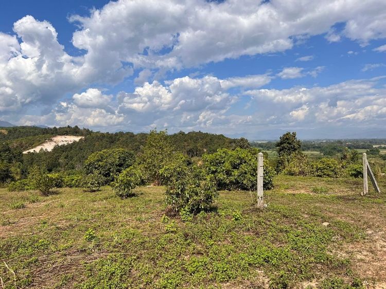 ที่ดินเชียงใหม่ พร้าว รูปที่ 3