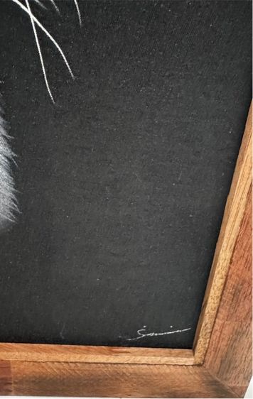 White Tiger  Technical image of sandblasting on fabric เสือขาว รูปที่ 5