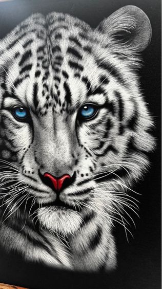 White Tiger  Technical image of sandblasting on fabric เสือขาว รูปที่ 4