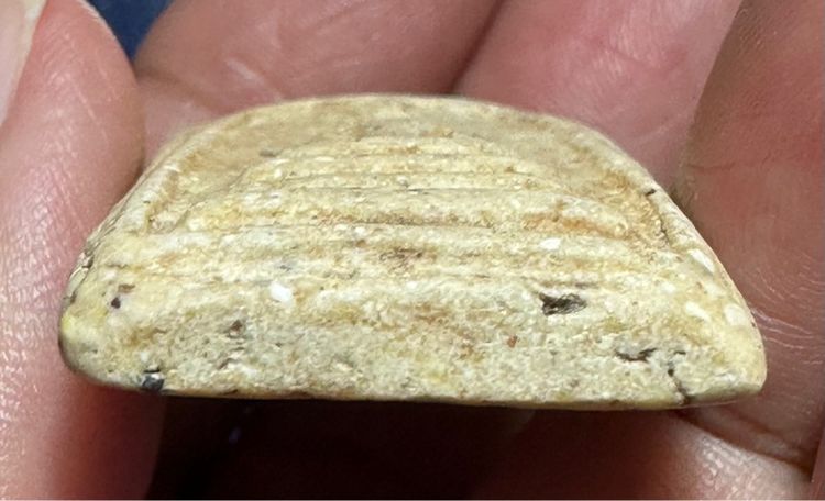 🙏พระสมเด็จพิมพ์เกศบัวตูม🙏พระสมเด็จ เกศบัวตูม เนื้อออกผงน้ำมันแก่มวลสาร องค์ละ1250 รูปที่ 12