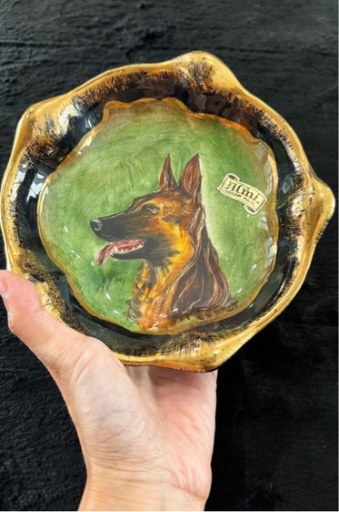 K9 สุนัขฮีโร่  จานโชว์ รูปที่ 6