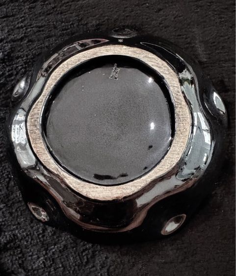 K9 สุนัขฮีโร่  จานโชว์ รูปที่ 5