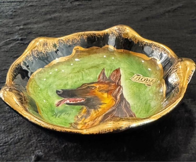 K9 สุนัขฮีโร่  จานโชว์ รูปที่ 4