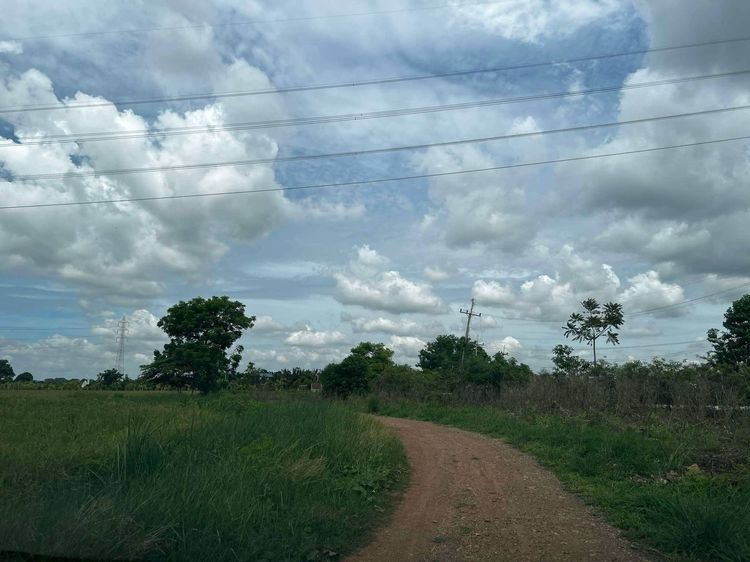 ขายที่ดินติดถนน