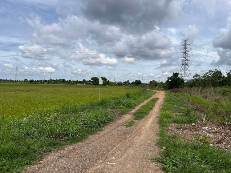 ขายที่ดินติดถนน รูปที่ 4