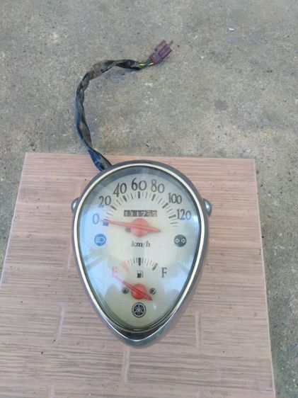 อื่นๆ เรือน​ไมล์​ฟีโน​่แท้​