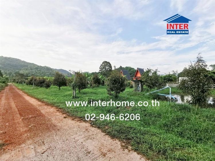 ไม่ใช่ ที่ดิน + สวนทุเรียน 845 ตร.ว. ที่ดิน + สวนทุเรียน ซอยบึงไม้-คลองวังไท สระบุรี ถนนบ้านนา-แก่งคอย แก่งคอย สระบุรี รูปที่ 3