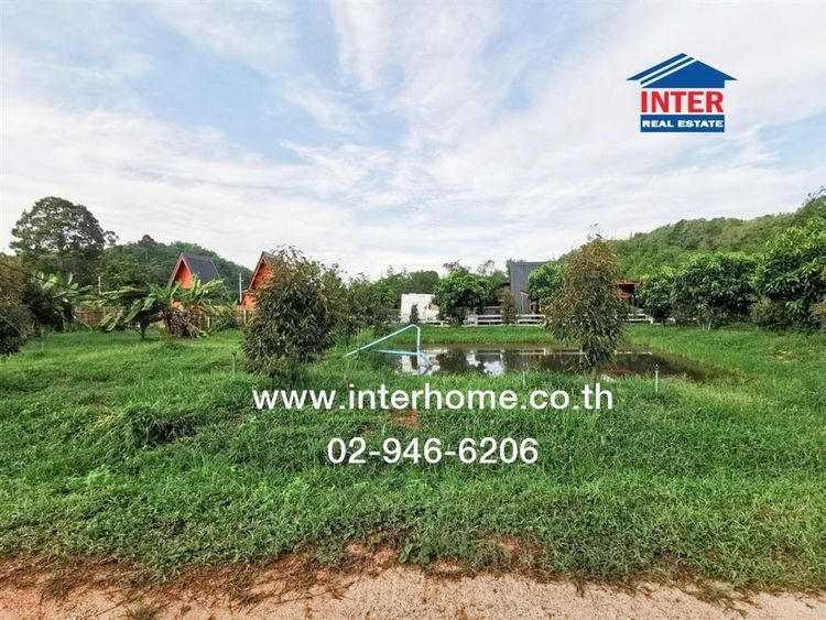 ไม่ใช่ ที่ดิน + สวนทุเรียน 845 ตร.ว. ที่ดิน + สวนทุเรียน ซอยบึงไม้-คลองวังไท สระบุรี ถนนบ้านนา-แก่งคอย แก่งคอย สระบุรี รูปที่ 4