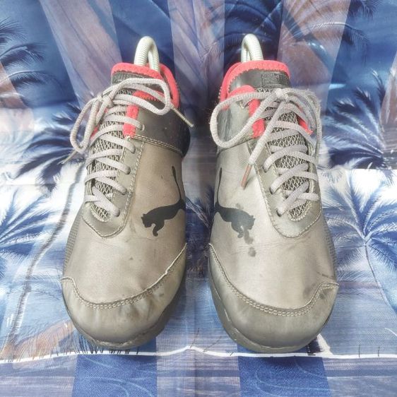 🚘FERRARI : by Pumaแท้ ราคารวมส่ง รูปที่ 3