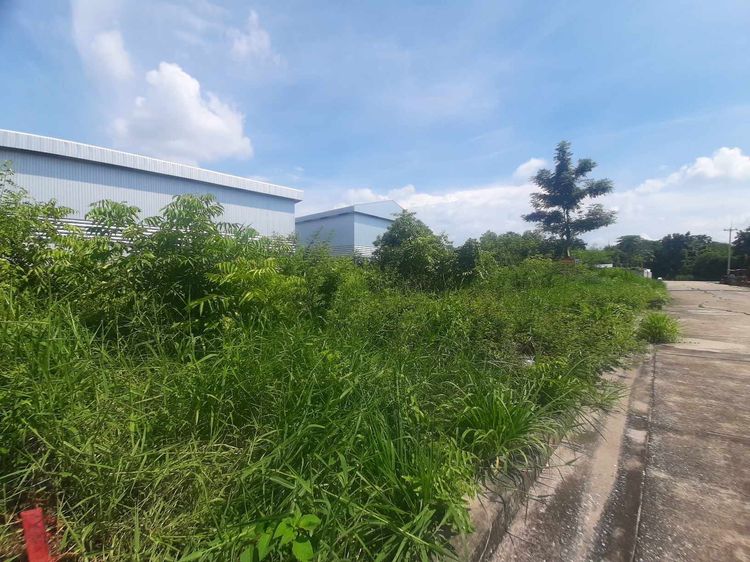 ขายที่ดิน ในทำเล เมืองฉะเชิงเทรา, ฉะเชิงเทรา รูปที่ 2