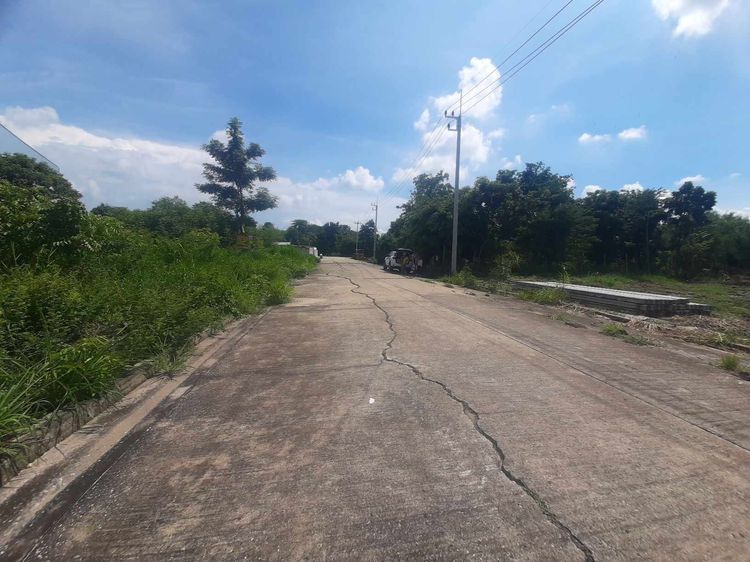 ขายที่ดิน ในทำเล เมืองฉะเชิงเทรา, ฉะเชิงเทรา รูปที่ 3