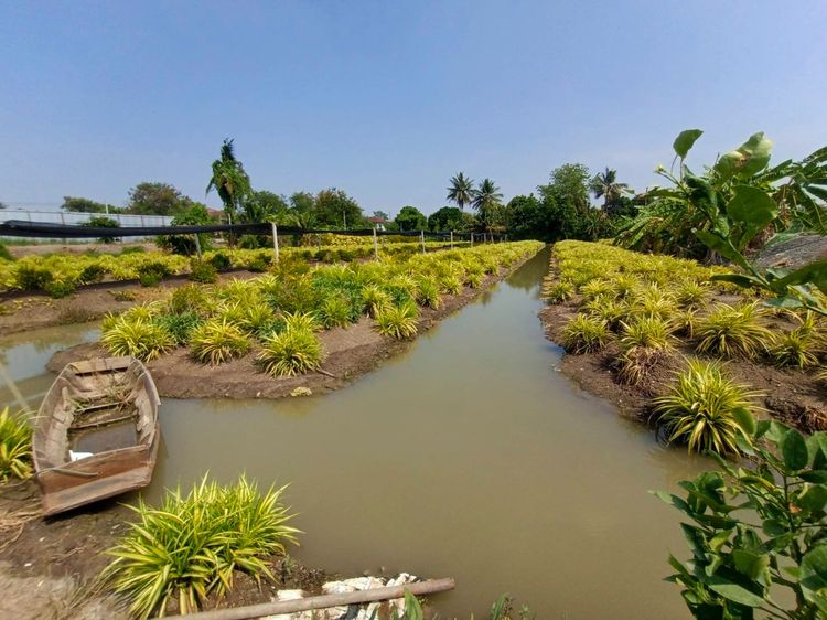 ไม่ใช่ ขายที่ดินแปลงใหญ่ 3-3-92 ไร่ ทำเลดี ซ.สันติธรรม 2 บางใหญ่ นนทบุรี รูปที่ 4