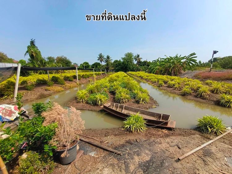 ขายที่ดินแปลงใหญ่ 3-3-92 ไร่ ทำเลดี ซ.สันติธรรม 2 บางใหญ่ นนทบุรี