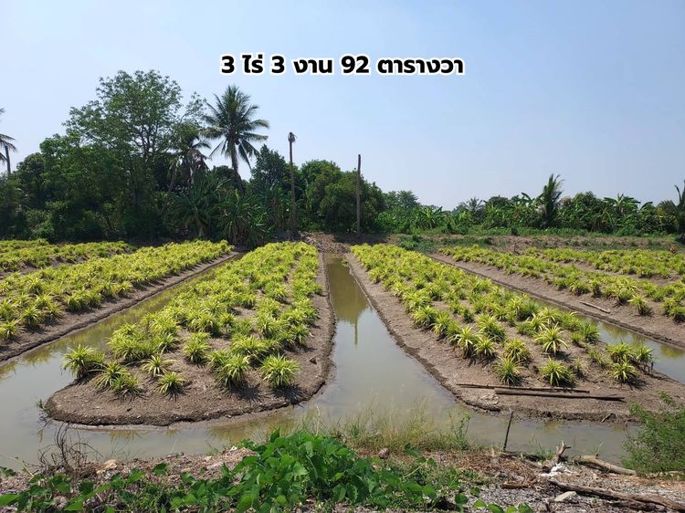 ไม่ใช่ ขายที่ดินแปลงใหญ่ 3-3-92 ไร่ ทำเลดี ซ.สันติธรรม 2 บางใหญ่ นนทบุรี รูปที่ 2