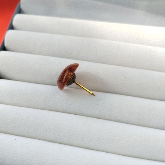 🔖หมุดอำพันแท้ ก้านทองตอกโค๊ต12k  งานจากญี่ปุ่น รูปที่ 7