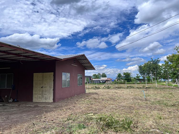 ไม่ใช่ ขายบ้านพร้อมที่ดิน 200 ตรว. บ้านป่าข่อยเหนือ  ต.สันผีเสื้อ อ.เมืองเชียงใหม่ รูปที่ 3