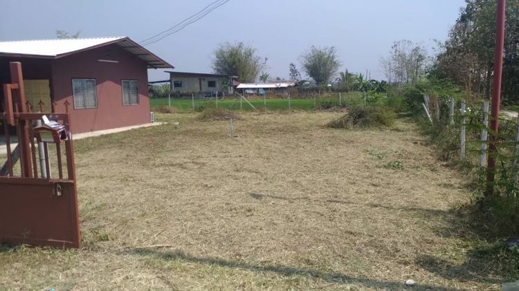 ขายบ้านพร้อมที่ดิน 200 ตรว. บ้านป่าข่อยเหนือ  ต.สันผีเสื้อ อ.เมืองเชียงใหม่