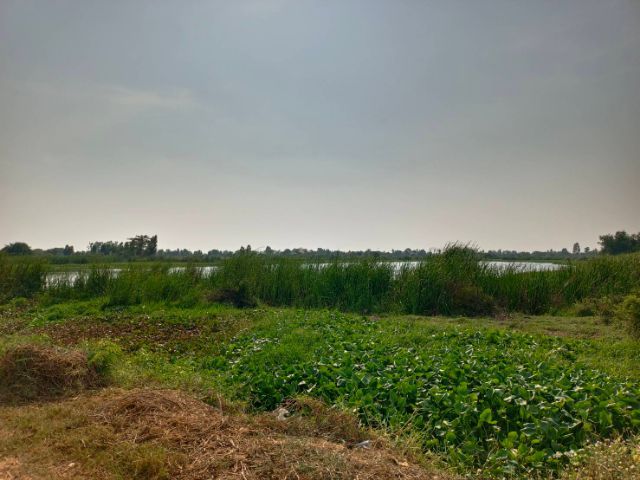 ที่ดินติดทะเลสาป  ขนาดใหญ่ สร้างบ้านเรือนแพได้เลย รูปที่ 2